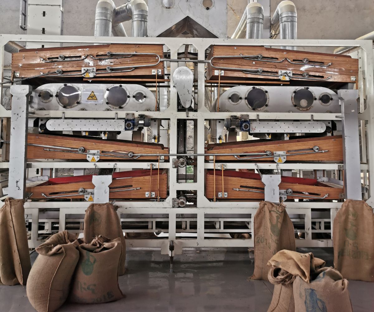 What does a green coffee buyer do part 5 shipping Tropiq